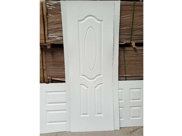 Door skin