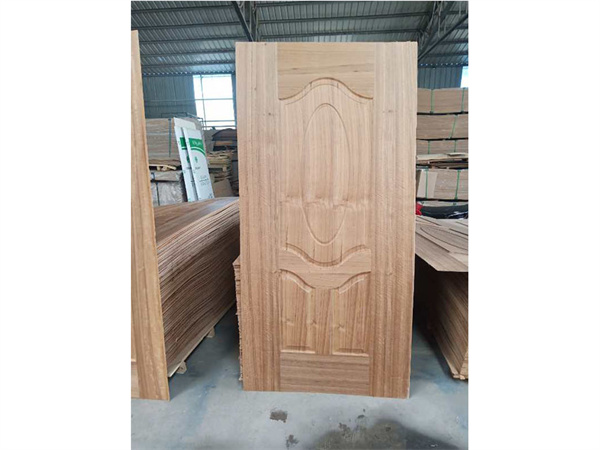 Door skin