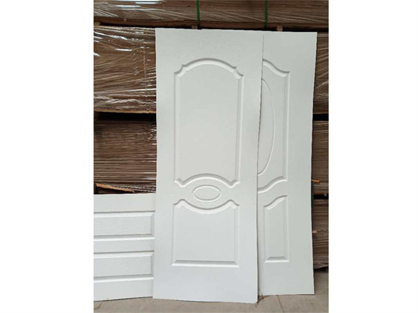 Door skin